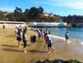 Salida a Viña del mar y Valparaiso (26 de abril)